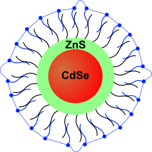 Quantum dot core-shell (CdSe/ZnS)
