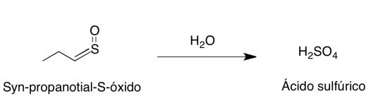Ecuación química cebolla 3
